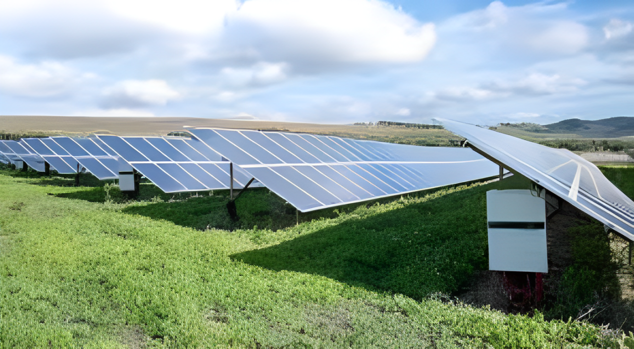 Green energy Pacific Islands services